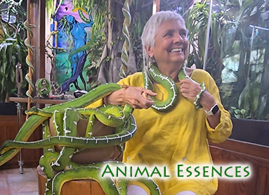 Sacred Mysteries of the Serpent- The Year of the Snake!