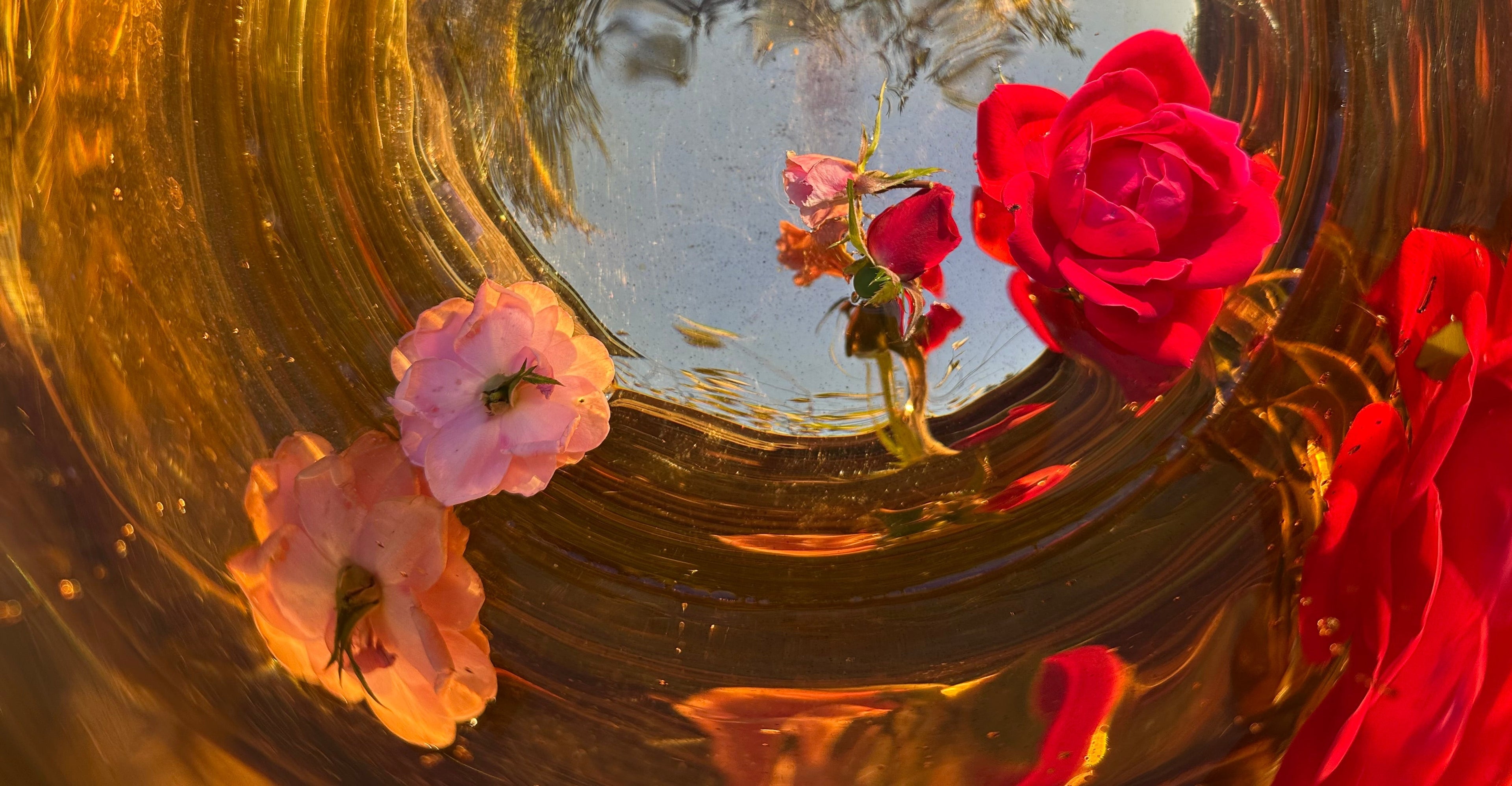 Special offer good until 1:11 at 11:11 Pm