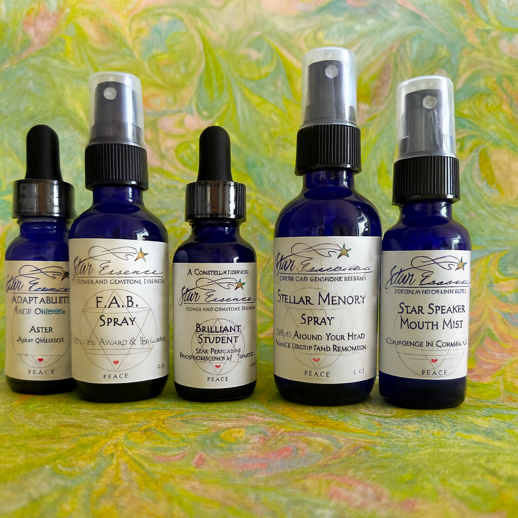 Star Student! Shine Bright this School year ~ Cosmic Care Package