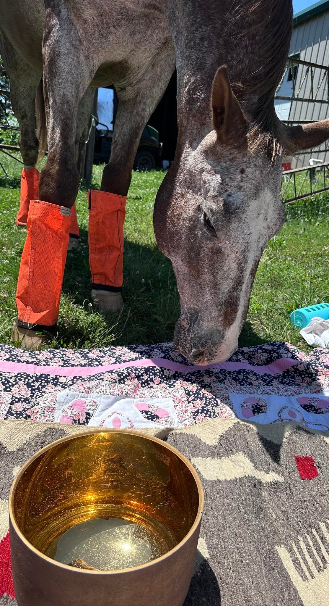 When the Fire Horse meets the Cintamani