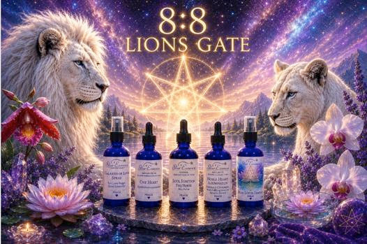 The 8:8: Lions Gate is open~  Raise Your Frequency, Open Your Heart