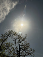 Blue sky and tree silhouette captured during the eclipse event, symbolizing the cosmic light frequencies infused into TOTALITY gem essence.