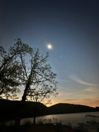 Dusk sky and tree silhouette during the eclipse window, reflecting the transitional and initiatory energies held in the TOTALITY essence.