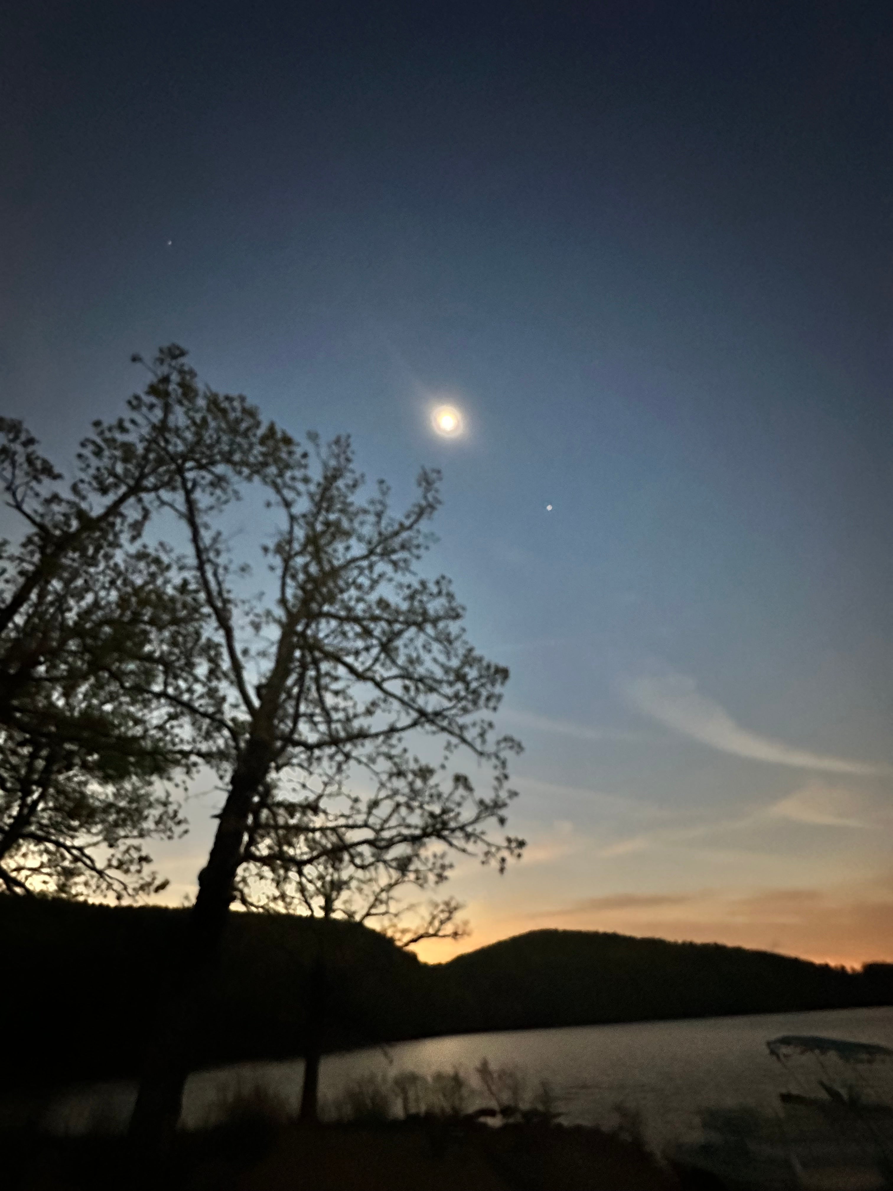 Dusk sky and tree silhouette during the eclipse window, reflecting the transitional and initiatory energies held in the TOTALITY essence.