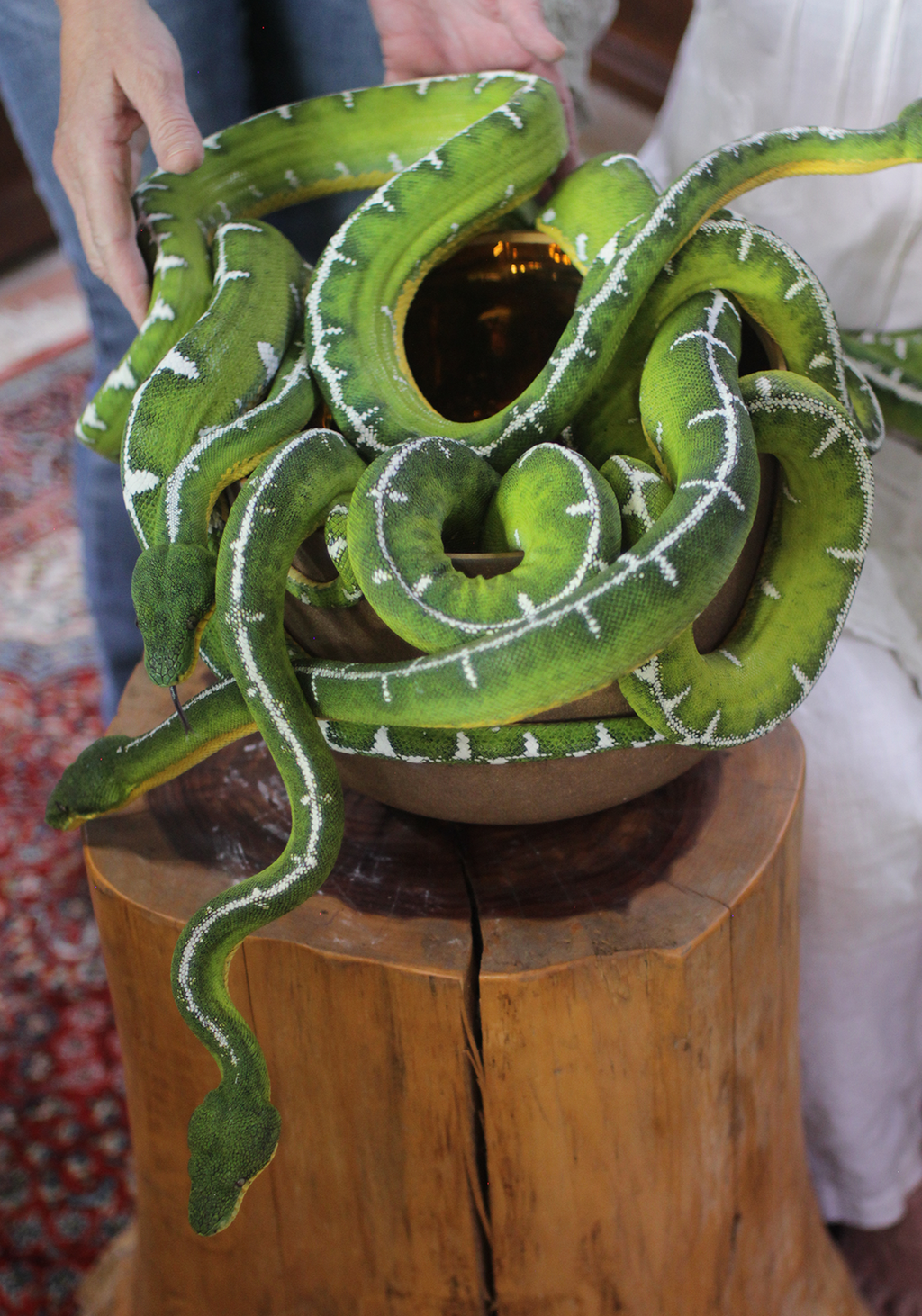 Emerald Tree Boas coiled together, representing serpent wisdom used in the Sacred Mysteries of the Serpent animal essence for energy healing and spiritual wellness.