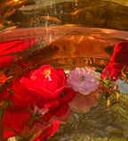 Bowl of water with three floating flowers used in the Galaxies of Love Spray creation, symbolizing vibrational medicine, holistic healing, and heart-opening energy