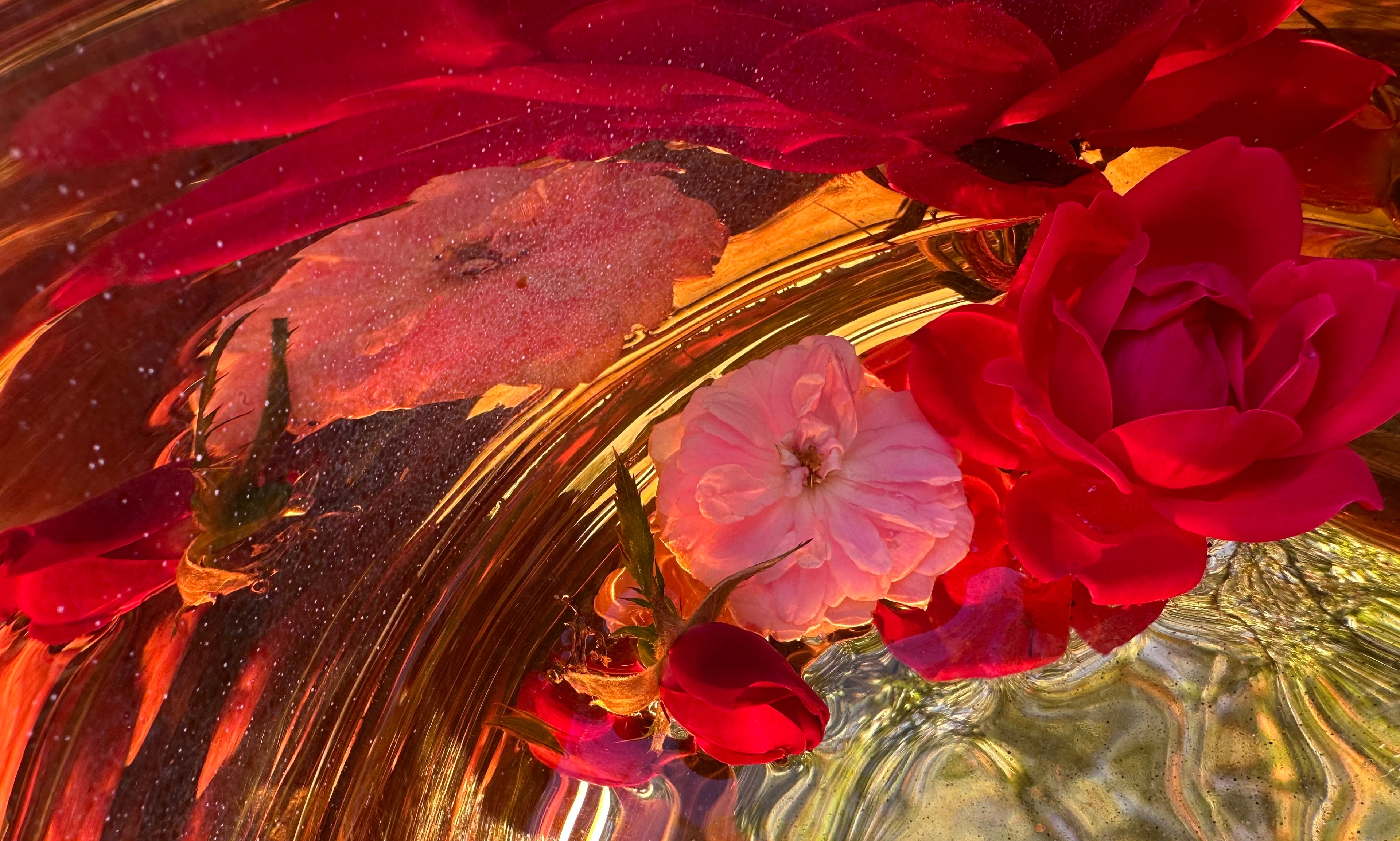 Galaxies of Love Spray for Vibrational Heart Healing