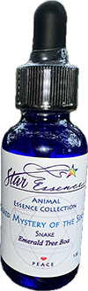Blue dropper bottle of Sacred Mysteries of the Serpent Emerald Tree Boa Essence, a vibrational remedy for energy healing and spiritual transformation.