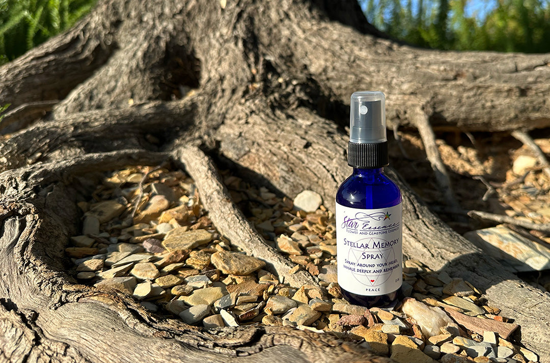 Stellar Memory Spray essence bottle close-up — supporting clarity, recall, and spiritual wellness through flower essences