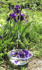 Artistic Inspiration ~ Iris