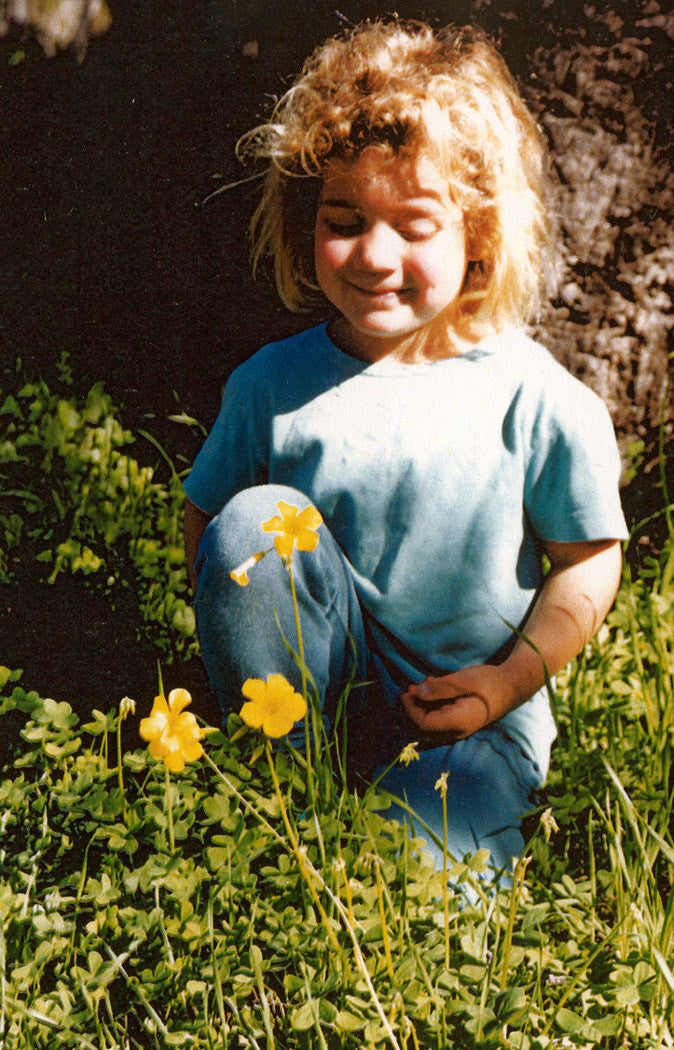 Early Bloomer ~ Oxalis
