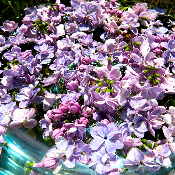 Complete with the Past ~ Lilac