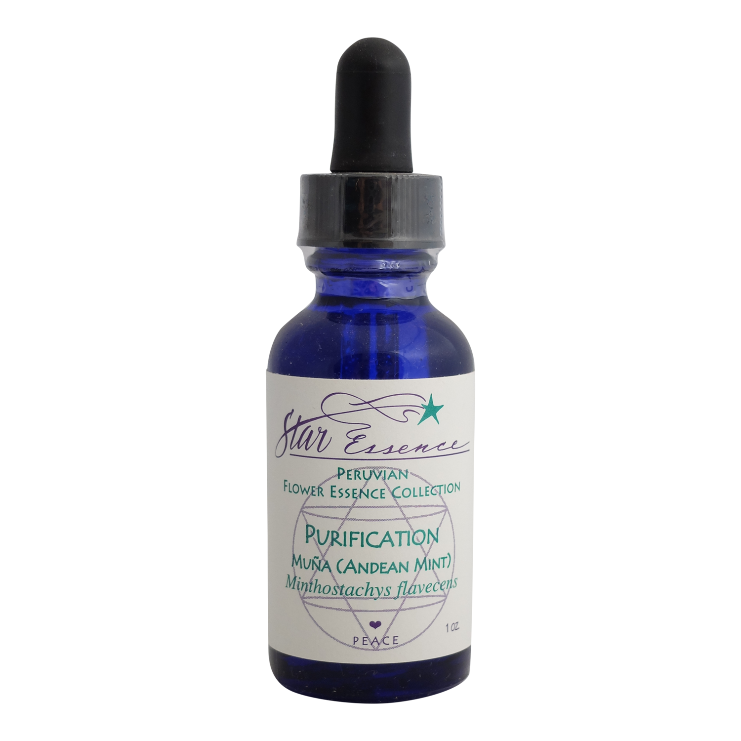 Purification ~ Muña (Andean Mint)