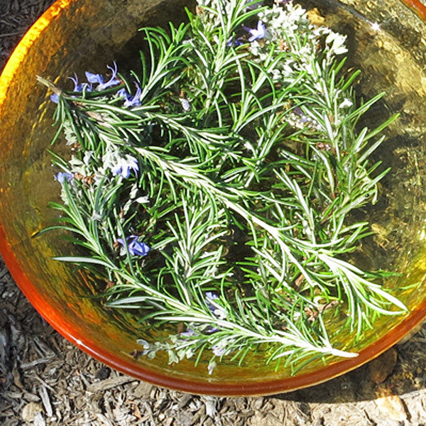 I Remember ~ Rosemary