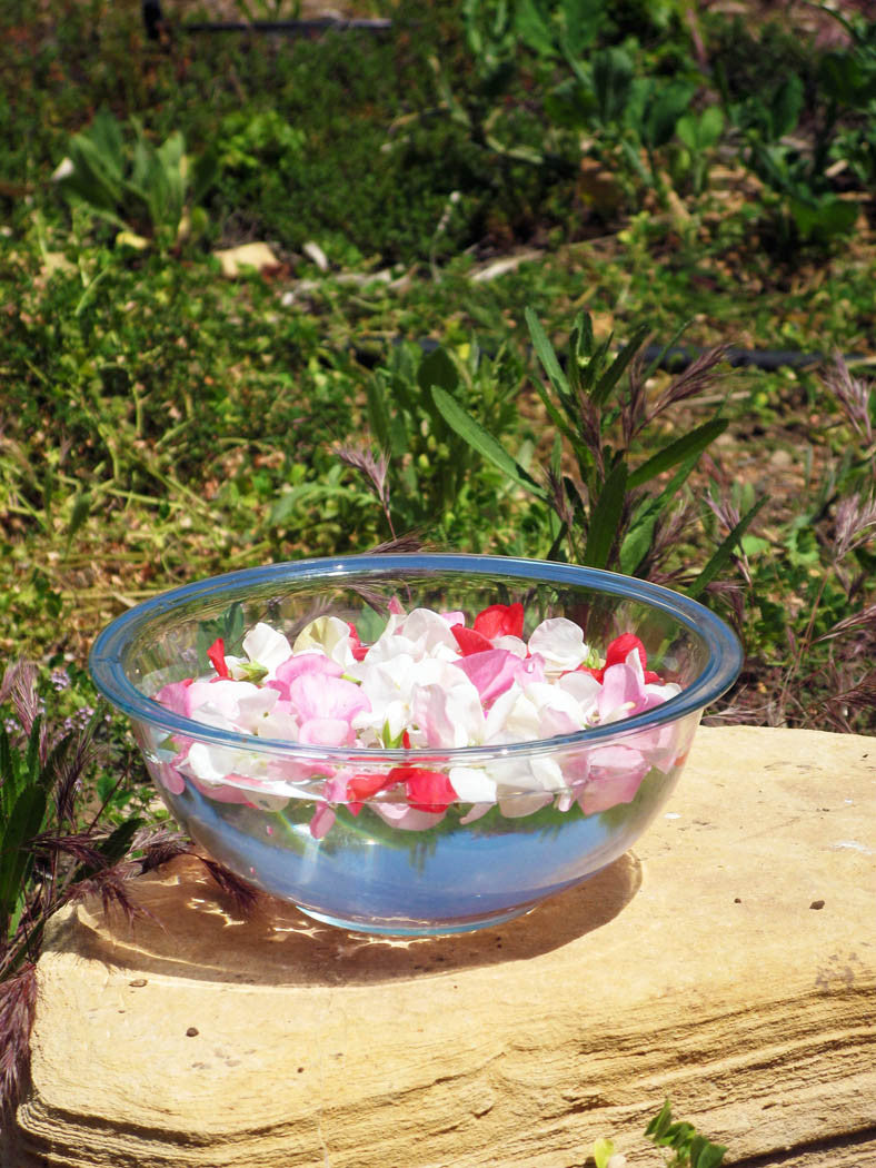 Earth is My Heaven ~ Sweet Pea