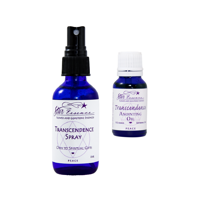 Transcendence Pair