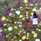 Majestic Mandala ~ Shasta Daisy