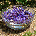 Violet Flame ~ Lupine