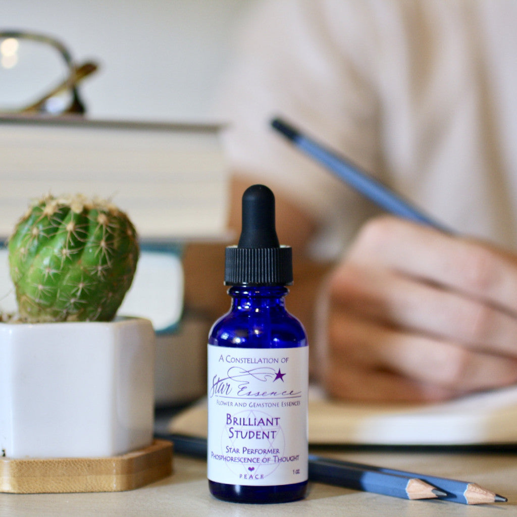 Brilliant Student essence bottle next to person studying for focus, creativity, and energy healing support