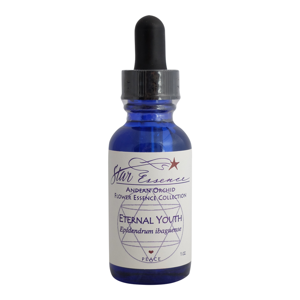 Dropper bottle of Eternal Youth essence, an Andean Orchid vibrational remedy for regeneration and holistic energy healing.