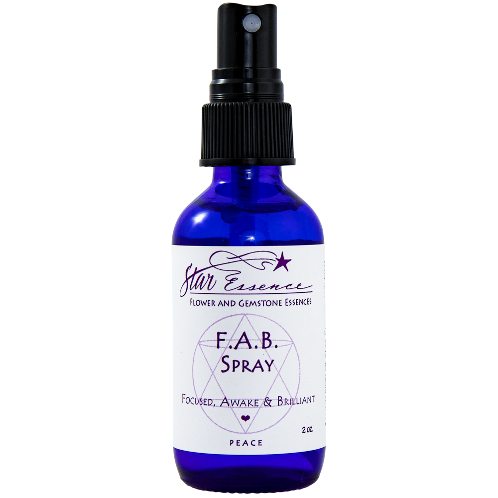 FAB Spray vibrational essence spray bottle for energy healing, holistic medicine, and spiritual wellness focus support