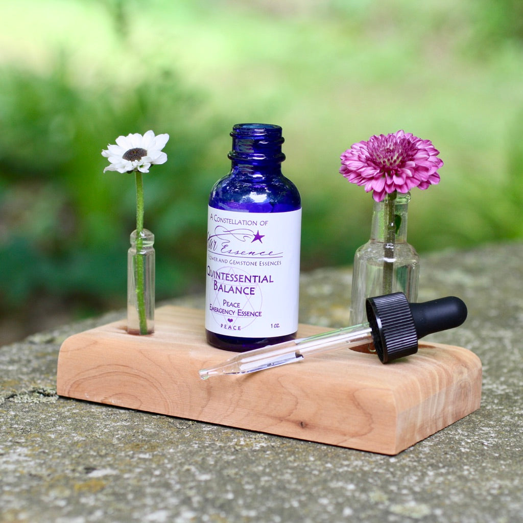 Open dropper bottle of Quintessential Balance Essence placed between two flowers, symbolizing vibrational medicine, emotional harmony, and holistic energy healing