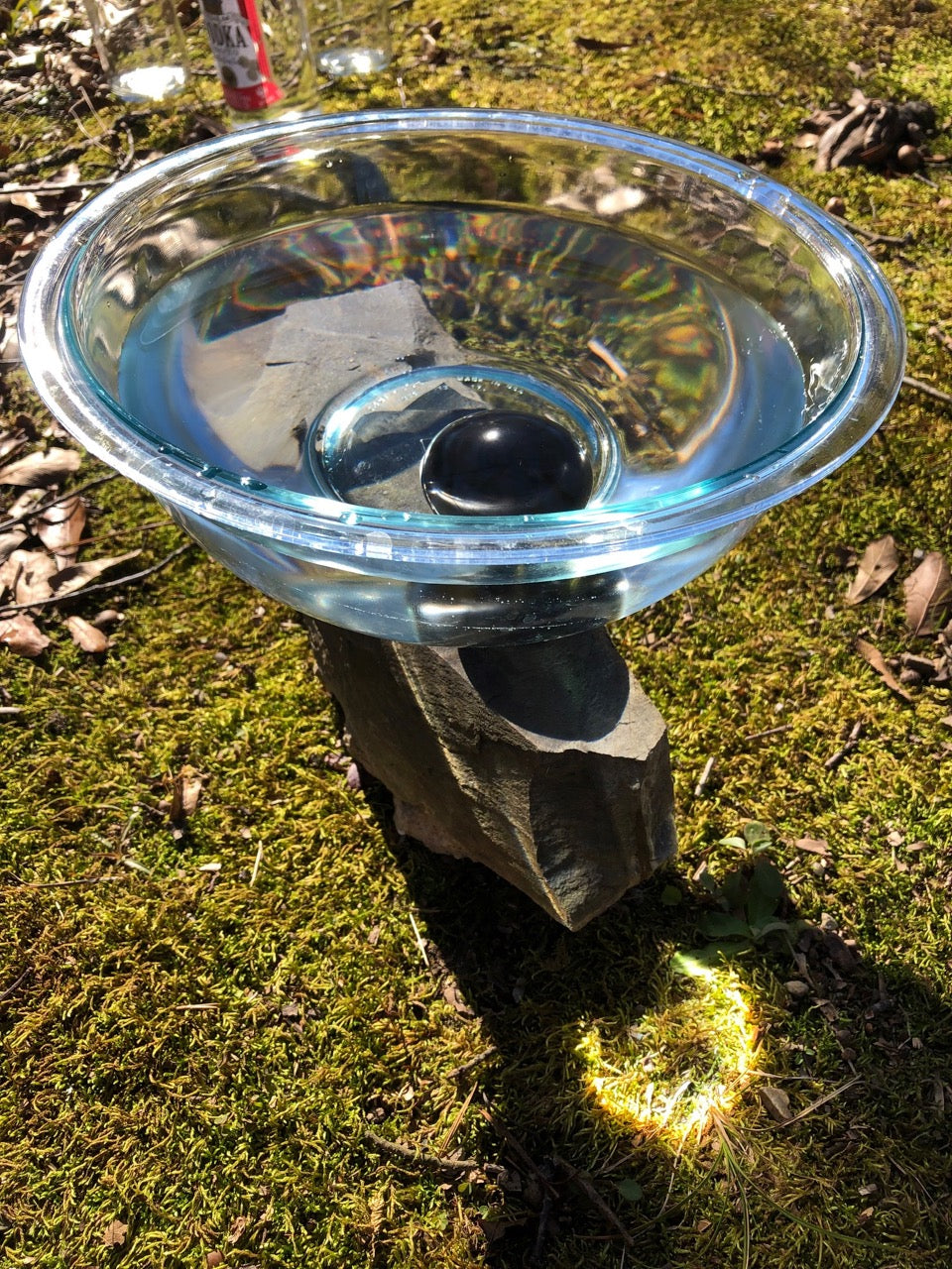 Shungite stone in a bowl of water used for gemstone essence supporting energy healing and spiritual wellness